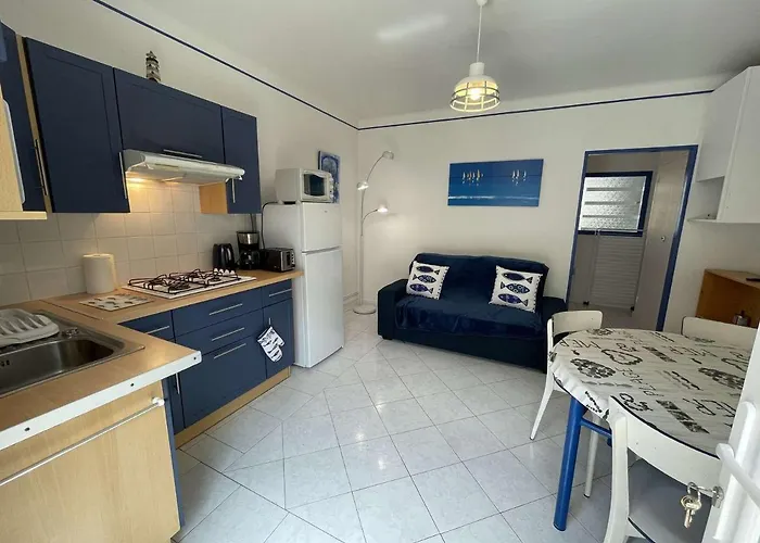 Lägenhet Moderne 2 Pieces + Cabine, Terrasse, Proche - - Fr-1-224c-204 Saint-Jean-de-Monts